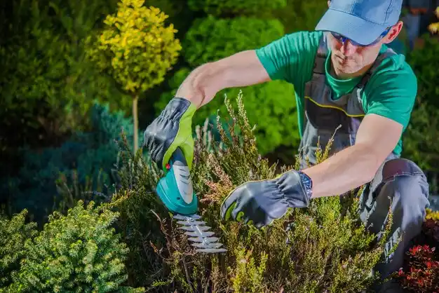 landscaping services Ronkonkoma